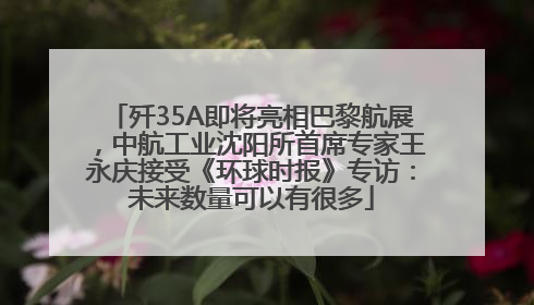 歼35A即将亮相巴黎航展，中航工业沈阳所首席专家王永庆接受《环球时报》专访：未来数量可以有很多