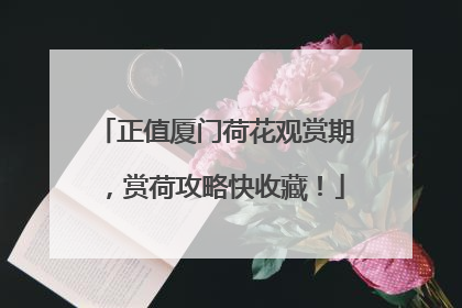 正值厦门荷花观赏期，赏荷攻略快收藏！
