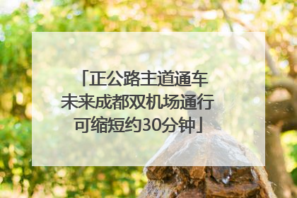 正公路主道通车 未来成都双机场通行可缩短约30分钟