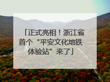 正式亮相！浙江省首个“平安文化地铁体验站”来了