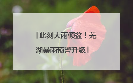 此刻大雨倾盆！芜湖暴雨预警升级