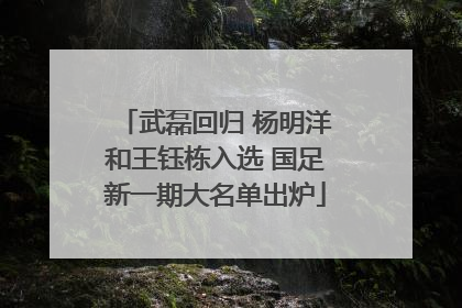 武磊回归 杨明洋和王钰栋入选 国足新一期大名单出炉
