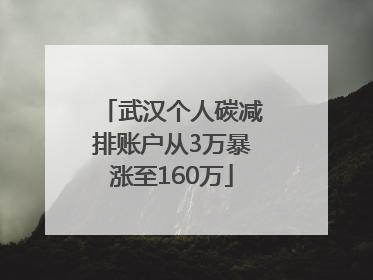 武汉个人碳减排账户从3万暴涨至160万
