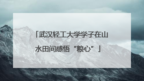 武汉轻工大学学子在山水田间感悟“粮心”