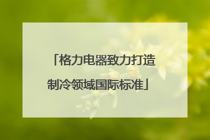 格力电器致力打造制冷领域国际标准