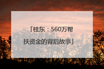 桂东：560万帮扶资金的背后故事