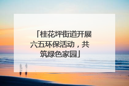 桂花坪街道开展六五环保活动，共筑绿色家园