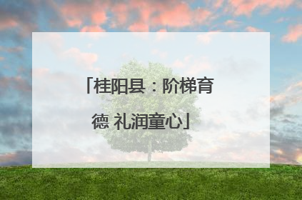 桂阳县：阶梯育德 礼润童心