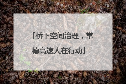桥下空间治理，常德高速人在行动