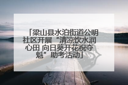 梁山县水泊街道公明社区开展“清凉饮水润心田 向日葵开花祝夺魁”助考活动