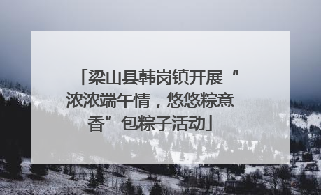 梁山县韩岗镇开展“浓浓端午情，悠悠粽意香”包粽子活动