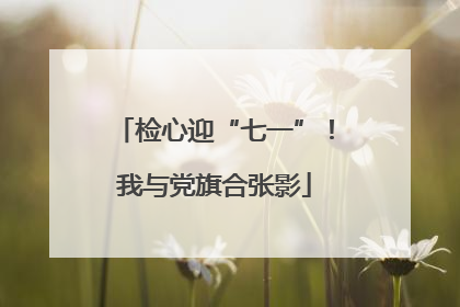 检心迎“七一”！我与党旗合张影