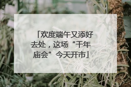 欢度端午又添好去处，这场“千年庙会”今天开市