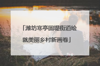 潍坊寒亭固堤街道绘就美丽乡村新画卷