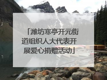 潍坊寒亭开元街道组织人大代表开展爱心捐赠活动