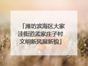 潍坊滨海区大家洼街道孟家庄子村文明新风展新貌