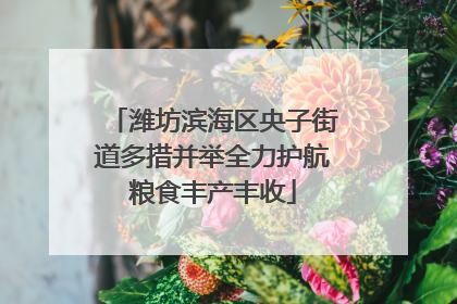 潍坊滨海区央子街道多措并举全力护航粮食丰产丰收