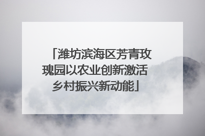潍坊滨海区芳青玫瑰园以农业创新激活乡村振兴新动能