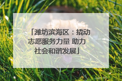潍坊滨海区：撬动志愿服务力量 助力社会和谐发展