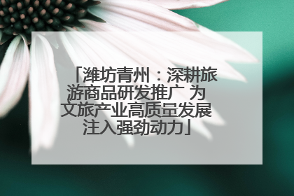 潍坊青州：深耕旅游商品研发推广 为文旅产业高质量发展注入强劲动力