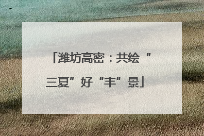 潍坊高密：共绘“三夏”好“丰”景