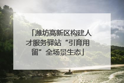 潍坊高新区构建人才服务驿站“引育用留”全场景生态