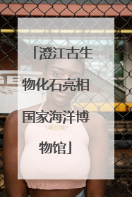 澄江古生物化石亮相国家海洋博物馆