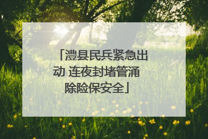 澧县民兵紧急出动 连夜封堵管涌除险保安全