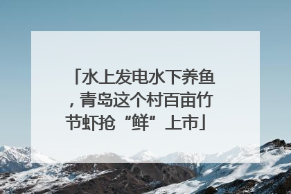 水上发电水下养鱼，青岛这个村百亩竹节虾抢“鲜”上市