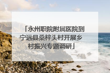 永州职院附属医院到宁远县桑梓头村开展乡村振兴专题调研