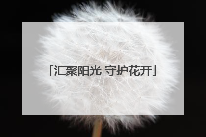 汇聚阳光 守护花开