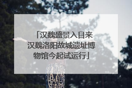 汉魏盛景入目来 汉魏洛阳故城遗址博物馆今起试运行