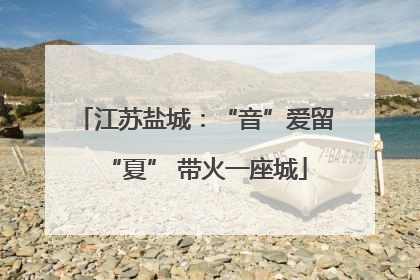 江苏盐城：“音”爱留“夏” 带火一座城