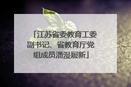 江苏省委教育工委副书记、省教育厅党组成员潘漫履新