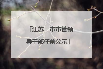 江苏一市市管领导干部任前公示