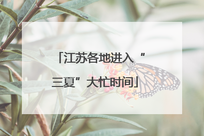 江苏各地进入“三夏”大忙时间