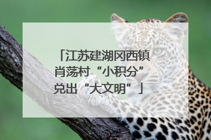 江苏建湖冈西镇肖荡村“小积分”兑出“大文明”