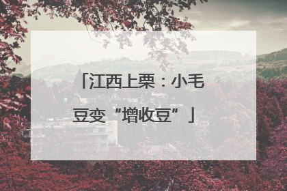江西上栗：小毛豆变“增收豆”