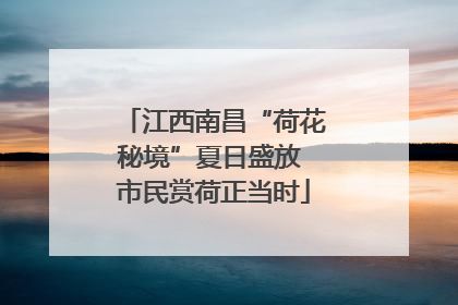 江西南昌“荷花秘境”夏日盛放 市民赏荷正当时