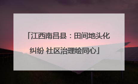 江西南昌县：田间地头化纠纷 社区治理绘同心