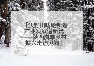 沃野田畴绘新卷 产业发展谱新篇——陕西岚皋乡村振兴走访见闻