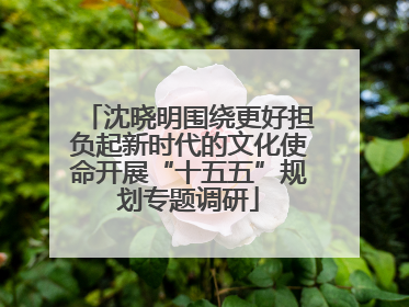 沈晓明围绕更好担负起新时代的文化使命开展“十五五”规划专题调研