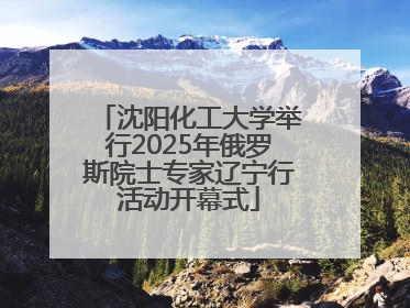 沈阳化工大学举行2025年俄罗斯院士专家辽宁行活动开幕式
