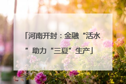 河南开封：金融“活水”助力“三夏”生产