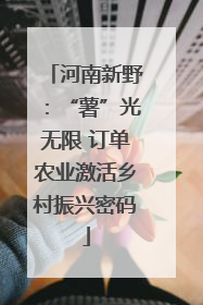 河南新野：“薯”光无限 订单农业激活乡村振兴密码