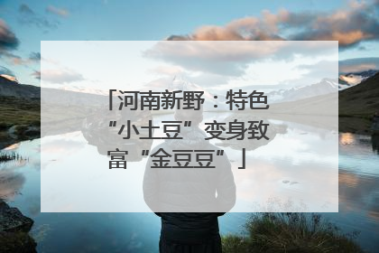 河南新野：特色“小土豆”变身致富“金豆豆”