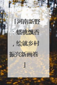 河南新野：蟠桃飘香，绘就乡村振兴新画卷