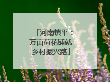 河南镇平：万亩荷花铺就乡村振兴路
