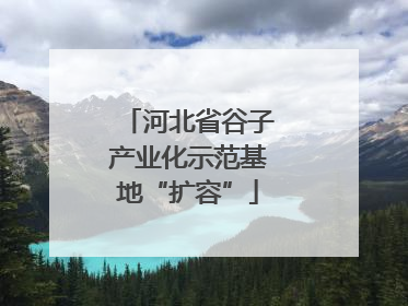 河北省谷子产业化示范基地“扩容”