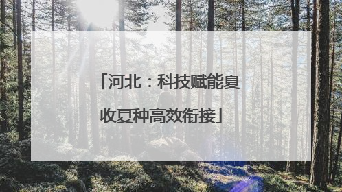 河北：科技赋能夏收夏种高效衔接